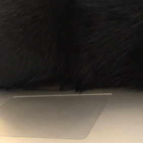 黒い物体の画像