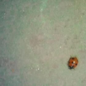 遠方より友来る！此れまた楽しからずや➰の画像