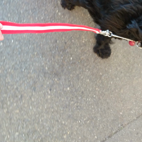 久々の裸ん坊❤️の画像