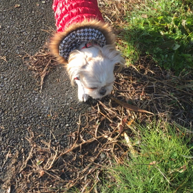 出ちゃう〜の画像