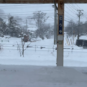 予想より楽しかった陸旅の画像