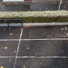 暑い・・・の画像