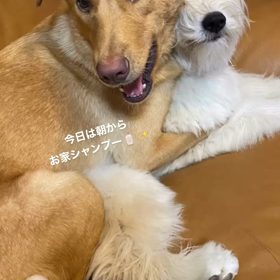 2023/08/25の画像