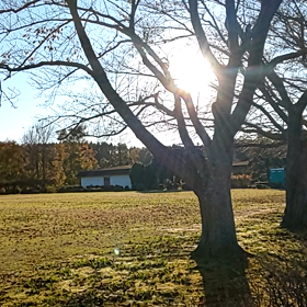 暮れゆくの画像