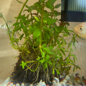 ダラダラ過ごしたの画像