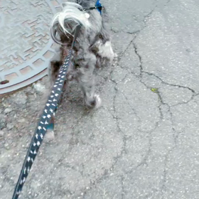 【チョコ動画】いま、会いにゆきますの画像