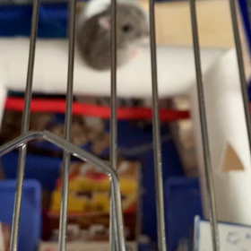 ムギューっとなってるの画像