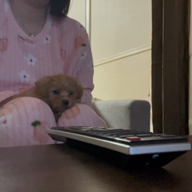 大谷翔平の画像