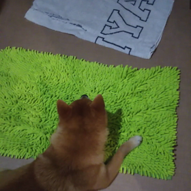 なにが怖いの？嬉しいの？の画像