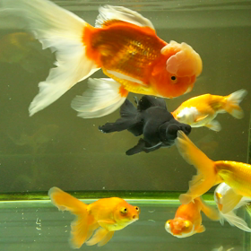 私のGWは。の画像