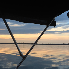 皮膚ってやっぱりすごいなーというまとまりのない記事です;の画像