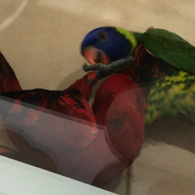 1人より2人がいいね。の画像