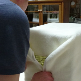 おやすみなさいの画像