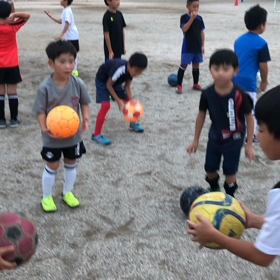 ドタバタ〜の画像