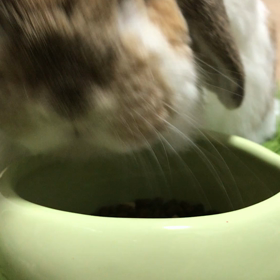 1時間遅れのの画像