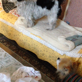 やってみた(^ ^)の画像