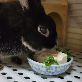ただただ黙々との画像