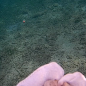 軽石被害の画像