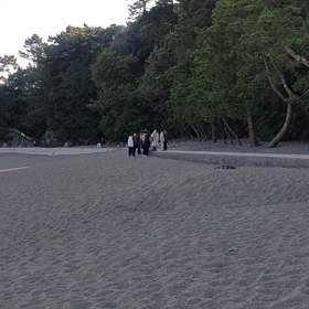 11/29(日)桂浜の画像