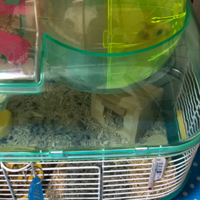 高速ダッシュwの画像