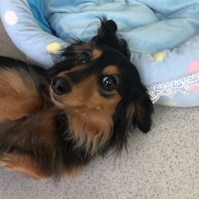 ♪プレイルーム動画♪②の画像