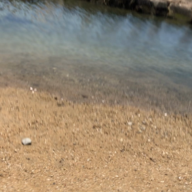 ポチャッ。笑の画像