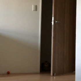 朝のにゃんこ。の画像