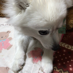 カメラ目線❤❤❤の画像