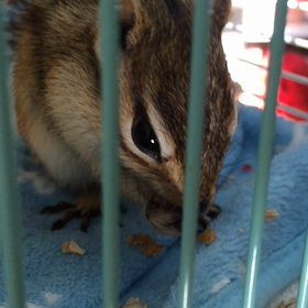 スローモーションの画像