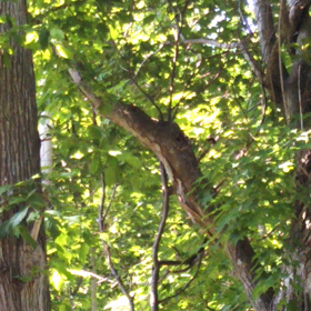 子育ては　何かと忙しいの画像