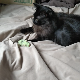 ネズミさん。の画像