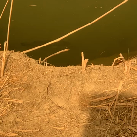 フラ〜との画像