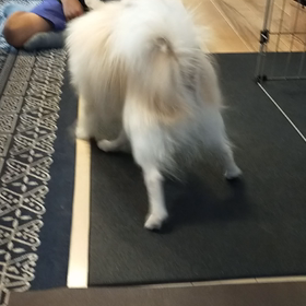 おもちゃと戦うの画像