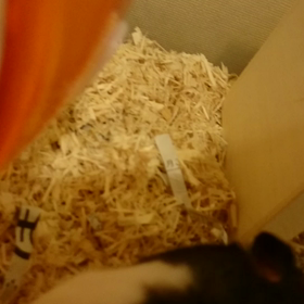 近すぎ〜の画像