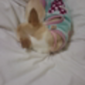 雫の寝言(？)の画像