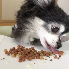 おはようございます！の画像