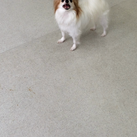 ♪プレイルーム動画♪の画像