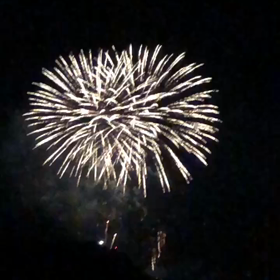 珍獣日記の画像