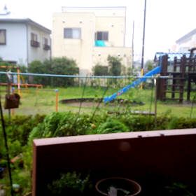 暴風雨100％ 予報の画像