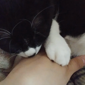 覚えてろよ！の画像