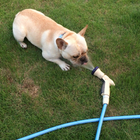 どんだけ飲む気❓の画像