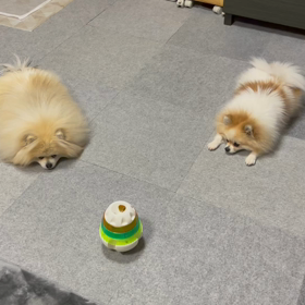 北京オリンピックの画像