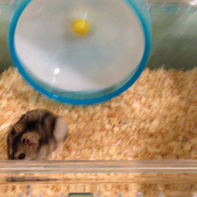 Vol.227 我が家に新しい家族が!!の画像