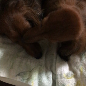 ドキドキの1時間の画像