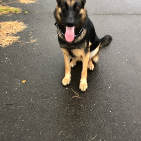 名前の由来の画像