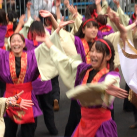 よさこい祭りの画像