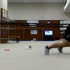 Ankorrを使用してのZUU（動画あり）の画像