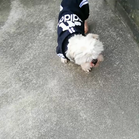 今朝も元気です♪の画像