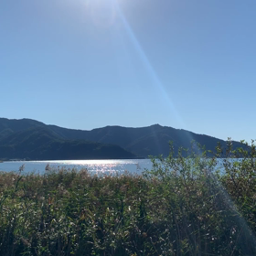 富士山（╹◡╹）の画像