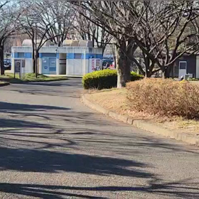 12/29 ミニ駅伝㉔の画像